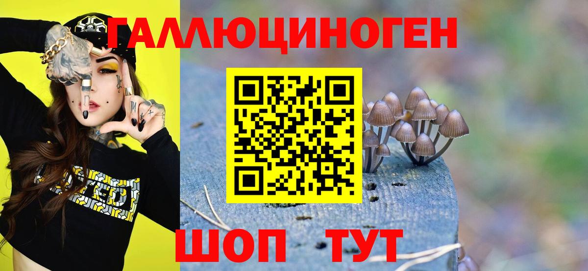 Псилоцибиновые грибы Magic Shrooms Богородицк